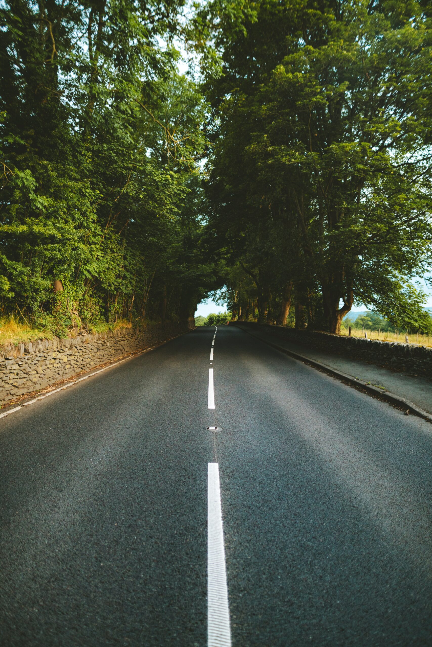 pexels-s-migaj-1237528